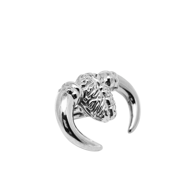 Anello "difendi le tue idee" in argento