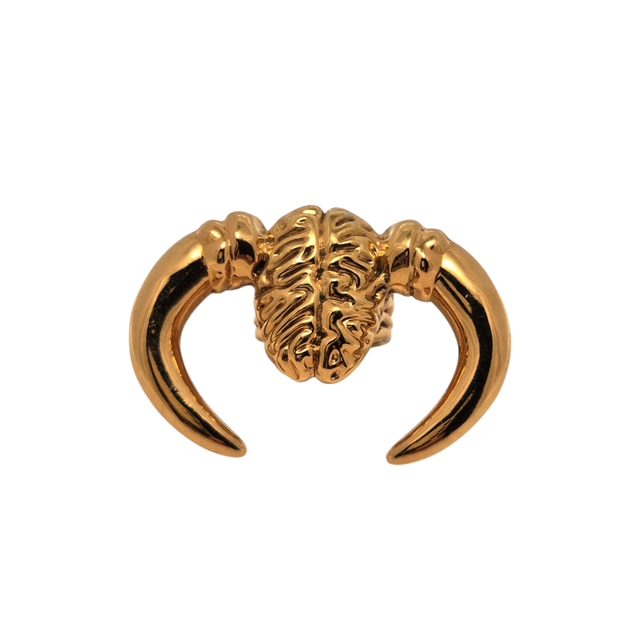 Anello "difendi le tue idee" in argento